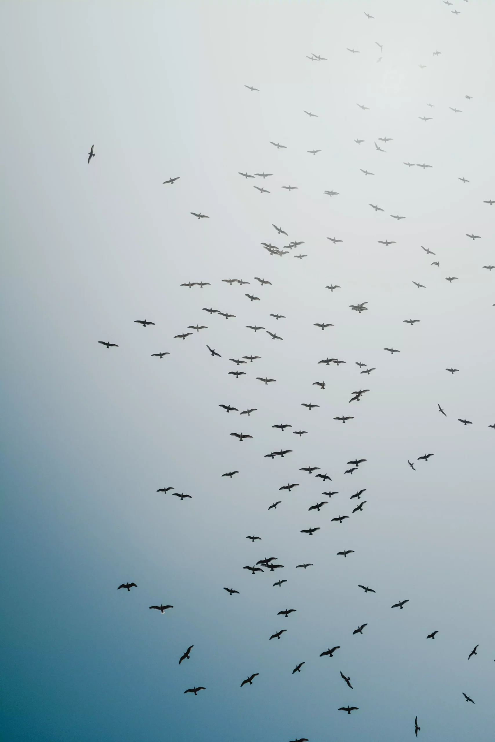 bernard-hermant-AGWsD2xP2fg-unsplash