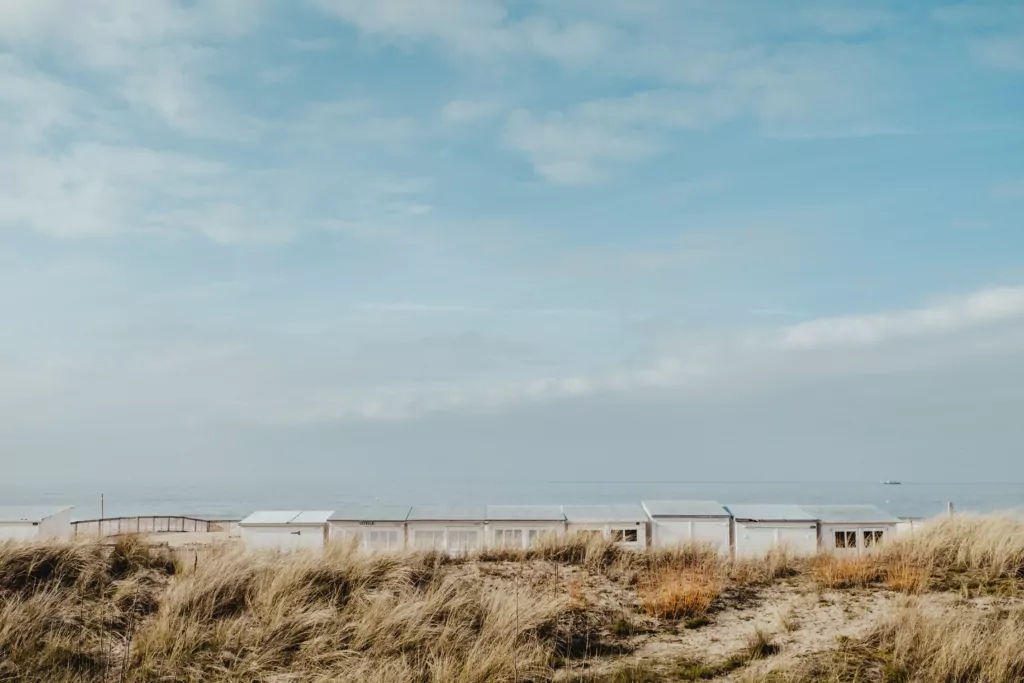 bernard-hermant-Bks3EFMnX7Y-unsplash-1024x683