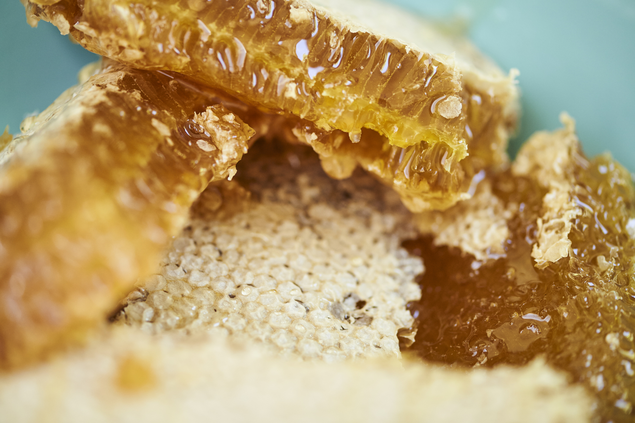 Bee Your Team