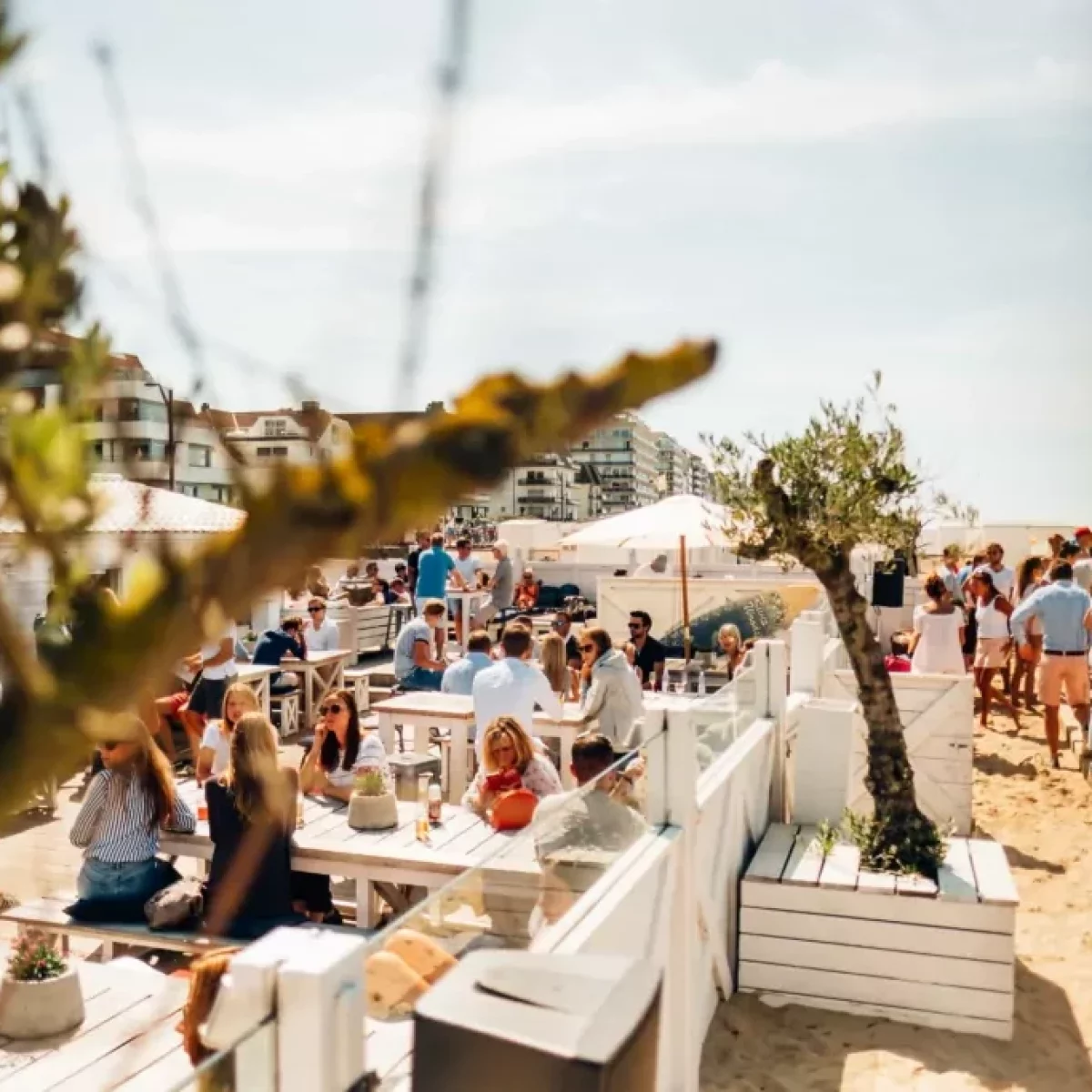 River Woods Beach Club